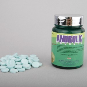 Body Research Androlic