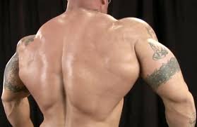 músculos de la espalda